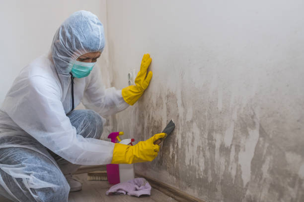 Best Professional Mold Removal  in Milledgeville, GA