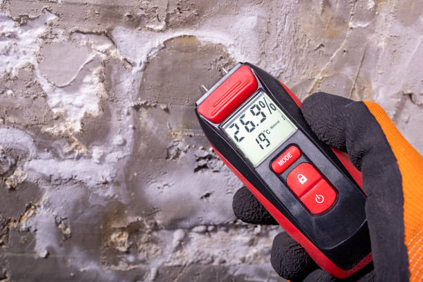 Best Home Mold Removal  in Milledgeville, GA