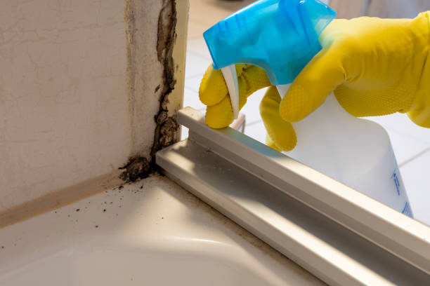 Best Mold Cleaning Services  in Milledgeville, GA