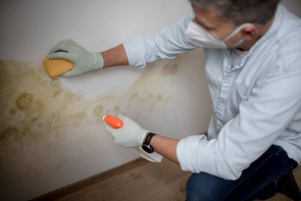 Best Office Mold Removal Services  in Milledgeville, GA