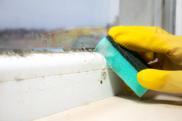 Best Mold Testing  in Milledgeville, GA