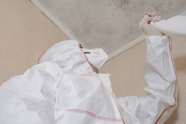 Professional Mold Removal in Milledgeville, GA
