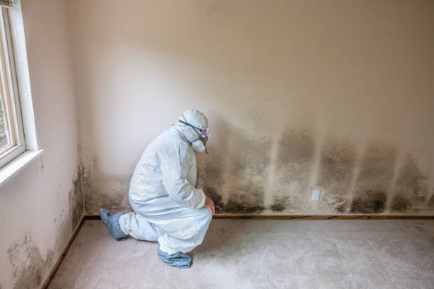 Best Office Mold Removal Services  in Milledgeville, GA