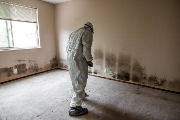 Best Black Mold Removal  in Milledgeville, GA