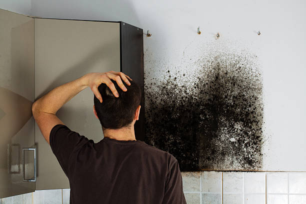 Best Mold Removal and Inspection  in Milledgeville, GA